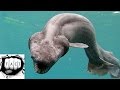 top 10 oldest animal species on earth