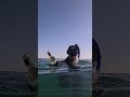 شوف شنو لقيت في البحر تكايسو لينا اخوتي على البحر الله يعفو عليكم ياربي شوف شنو لقيت في البحر تكايسو لينا اخوتي على البحر الله يعفو عليكم ياربي
