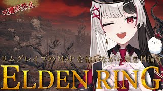【 ELDENRING 】フロムゲー完全初見だけど遺灰無しでボスを倒しながらケイリッドを攻略する【エルデンリング 9日目】【 姫守ほたる/るみぷろ 】#エルデンリング #新人vtuber