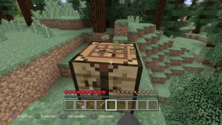 Minecraft Diamond Hunter Challenge Ggde