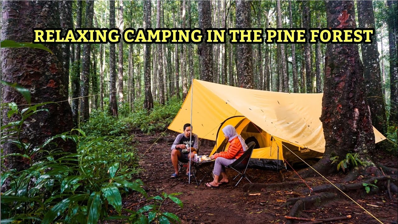 NOT SOLO CAMPING CAMPING IN HEAVY RAIN STRUGGLE TO SET UP A TENT IN