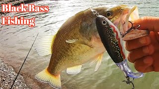 صيد سمك بلاك باص: أحسن الطعوم السطحية whoppere ploper /Fishing Black Bass