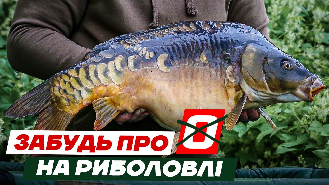 НЕ КЛЮЄ на ФЛЕТ?  ТОП 8 порад для успішної риболовлі на флет-фідер та причини чому не клює риба.