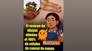 La melitina arrasa tumores en 1 hora (según estudio)