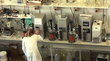 Chris Bryan: Bacterial mining