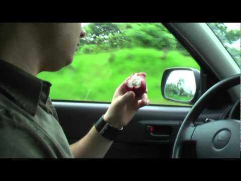 Jay and Sharon - Costa Rica - Driving San Jose to ...