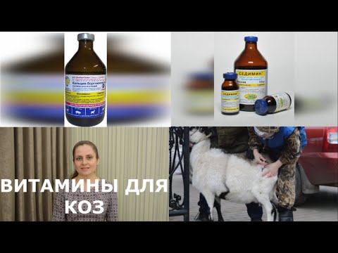 Видео: Будут ли козы вредить козлятам?