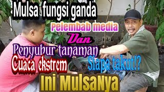 Tidak Banyak yang Tau‼️Mulsa Terbaik di flora gowata‼️