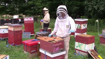 How Betterbee Overwintered Nucs are Made