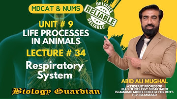 Lecture 34 MDCAT 2022 Biology Preparation Series (Respiratory System : Part-2) PMC/NUMS/NEET