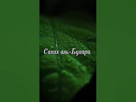 Сахих аль-Бухари 4 хадис #сахихальбухари #хадис - YouTube