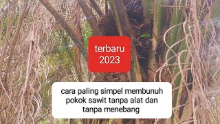 Cara paling simpel membunuh pokok sawit tanpa menebang dan tanpa pake alat