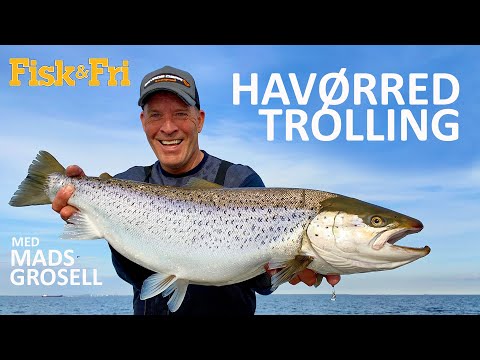 Video: Hvornår kom trolling ud?