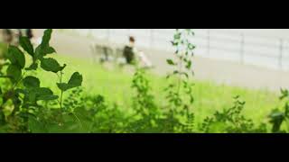 Magic Lantern Crop Mood Canon T5I Mamiya 55Mm F1.4 Sirui 1.25X Anamorphic Adapter Mlv Raw