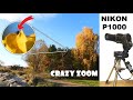 Nikon P1000 - HOUSEFLY. Fly seen from 26 meters!!! Super zoom test! WOW!