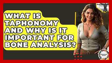 What Is Taphonomy And Why Is It Important For Bone Analysis? - Anthropology Insights