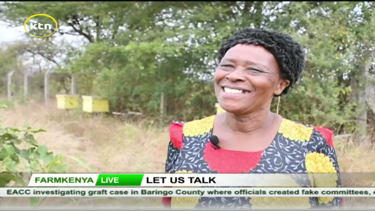 How she started bee farming | Farmer of the day