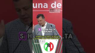 El dirigente del PRI Michoacán respaldó al gobernador para prohibir los narco corridos