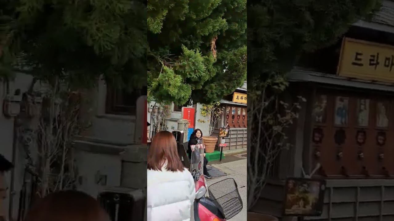 포항 동백꽃필무렵 까멜리아는 그냥 못지나가지