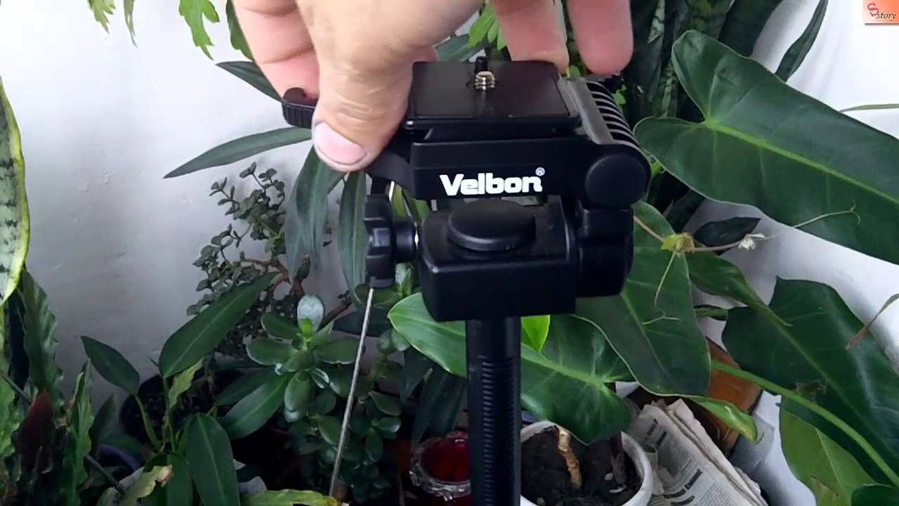 Обзор моего штатива Velbon