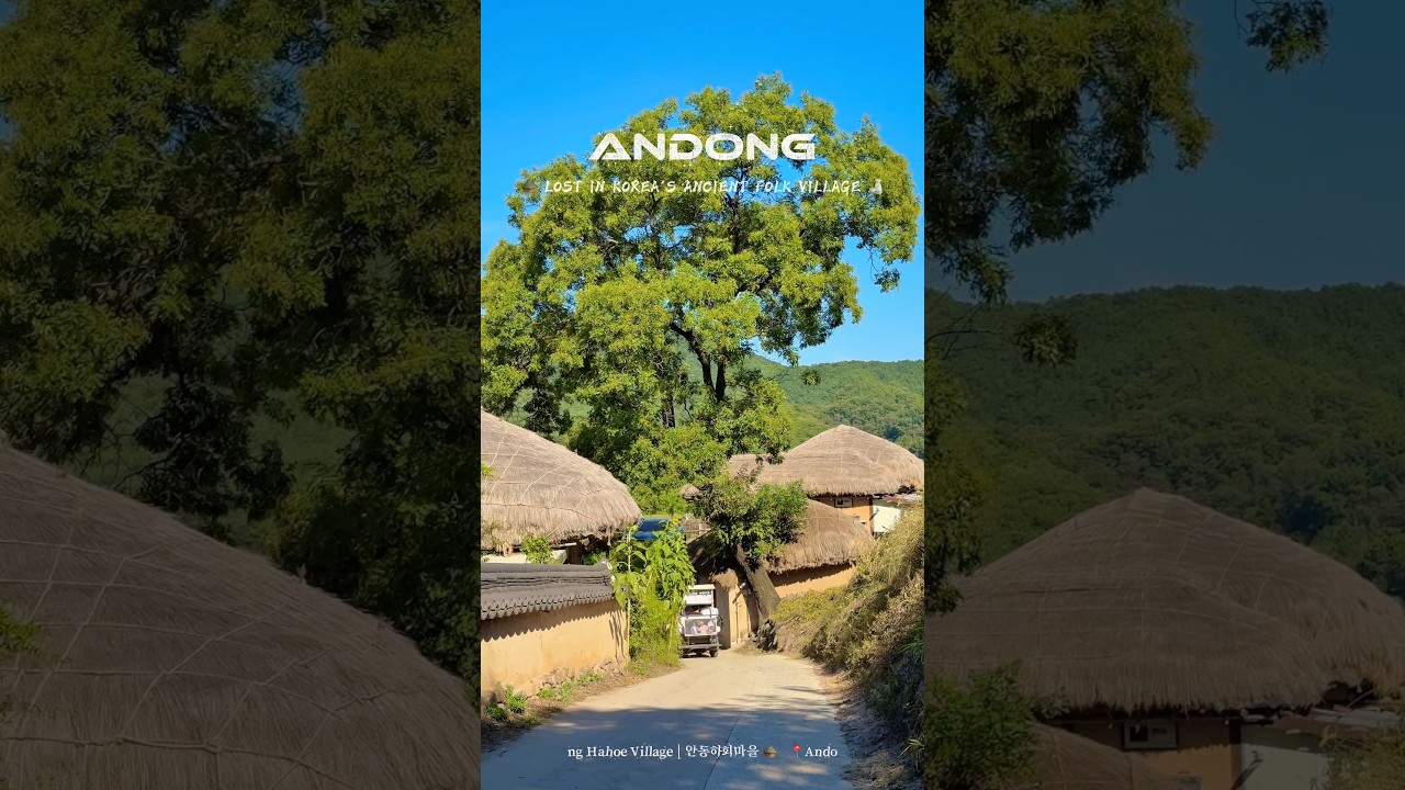 #junmypage #안동 #andong #안동하회마을 #andonghahoevillage