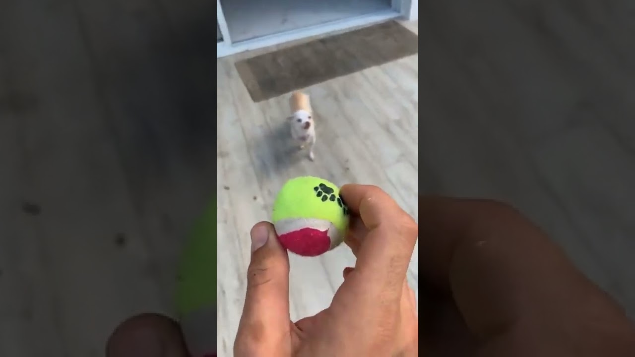 Play time with MF🤬