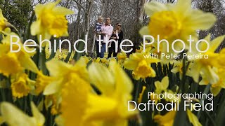 Behind the Photo with Peter Pereira: Photographing a daffodil field