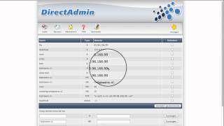 Weboke.nl Uitleg Werking Dns In Directadmin