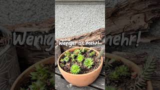 ganz persönlich 1 #selbstversorgergarten #gartentipps #gartenliebe #minimalismus