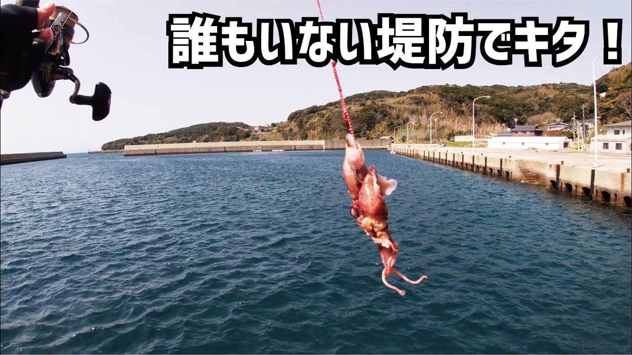 寝パグさん:スフィンクスver.(完全1点もの) 寝パグさん:スフィンクスver.(完全1点もの) maxresdefault.jpg