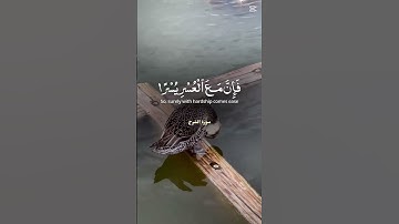 ألم نشرح لك صدرك سورة الشرح #زمان #قران_كريم_بصوت_جميل_جدا