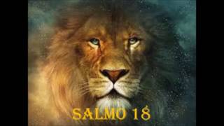 Video thumbnail of "Salmo 18 - Te amo Jehova"