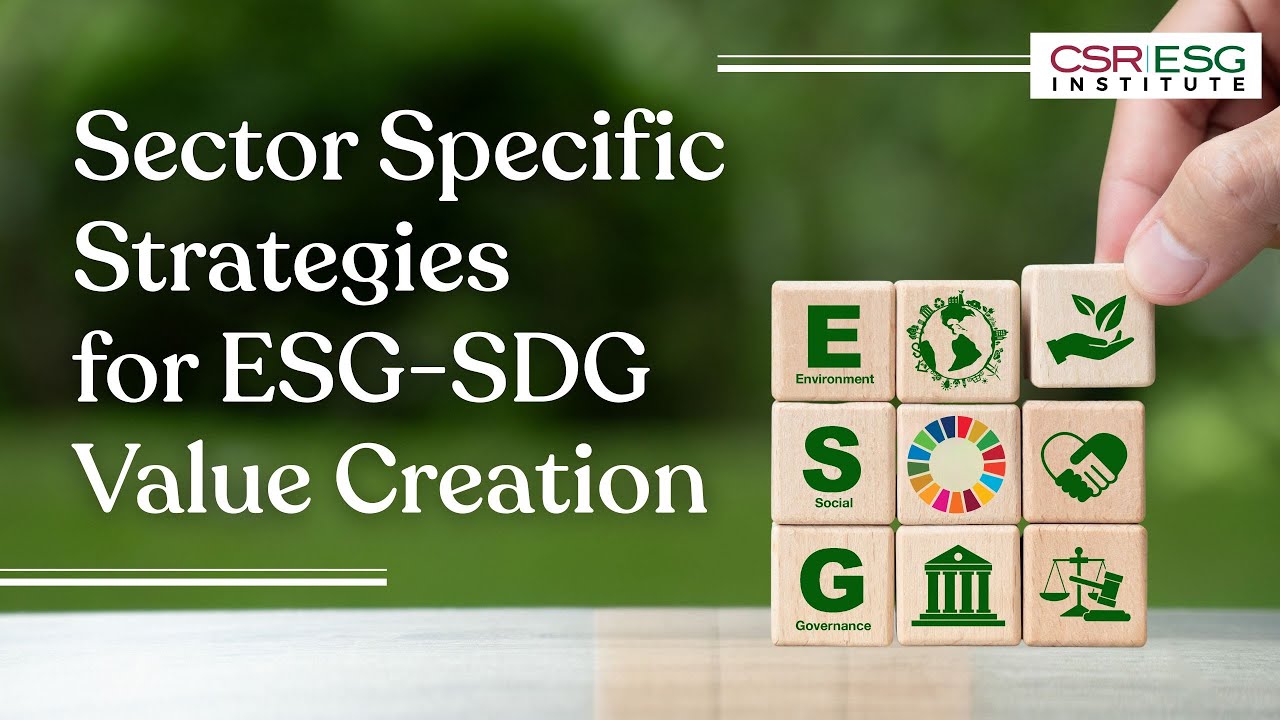 Sector Specific Strategies for ESG SDG Value Creation - YouTube