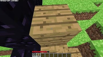 Minecraft InfDev 20100227-1433