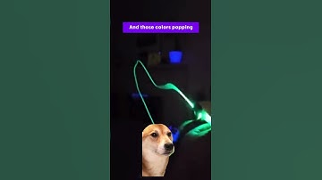 Loop Lasso Nano: Watch this and try NOT to buy one! 🤩