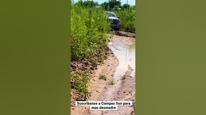 Calando la mamalona en un charco