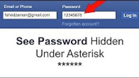 View Hidden Passwords  Behind The Asterisks