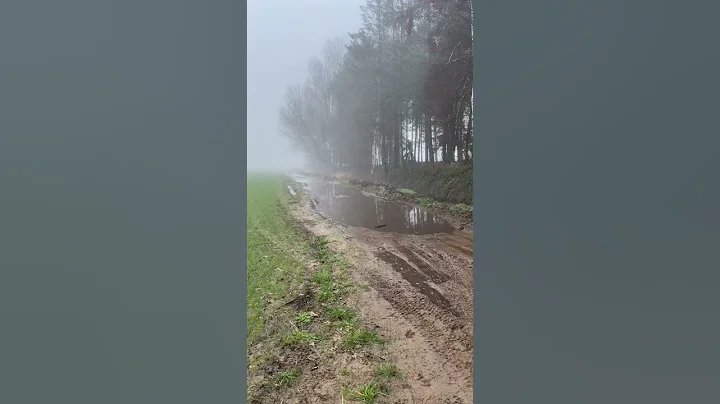 The New Suzuki Jimny is Unstoppable 🔥👌🚀 #shorts #short