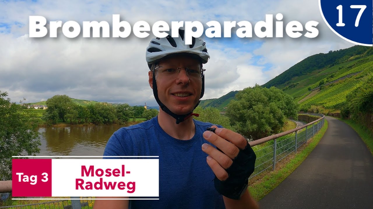 Die leckersten Brombeeren meines Lebens | Mosel-Radweg Tag 3 | #17 von 51 | 12-Wochen-Radreise | 4K