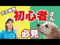 【犬の飼い方】　飼育初心者さんに知っておいてほしいこと！ドッグトレーナーがお話します