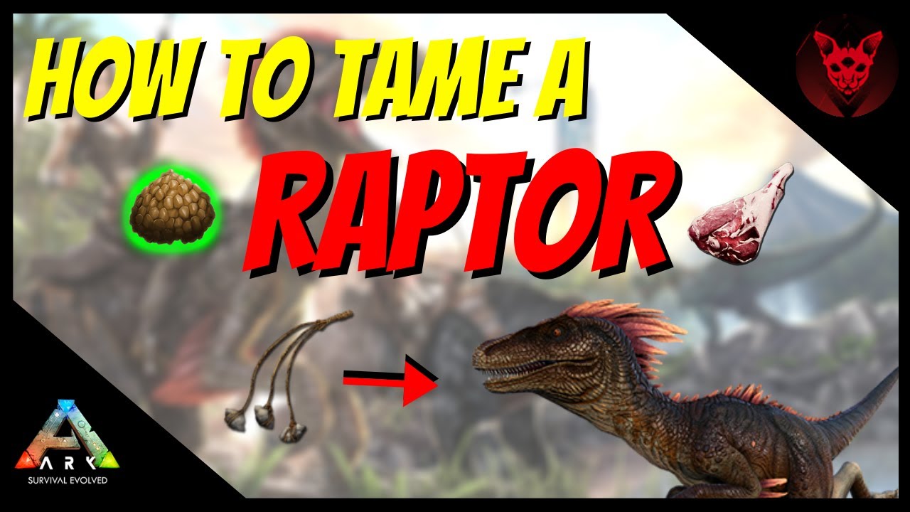 HOW TO TAME A RAPTOR | ARK Tutorials | - YouTube