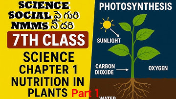 Science, Social పై గురి NMMS నీ దరి/7th Class Science Chapter 1/Nutrition in plants Part 1