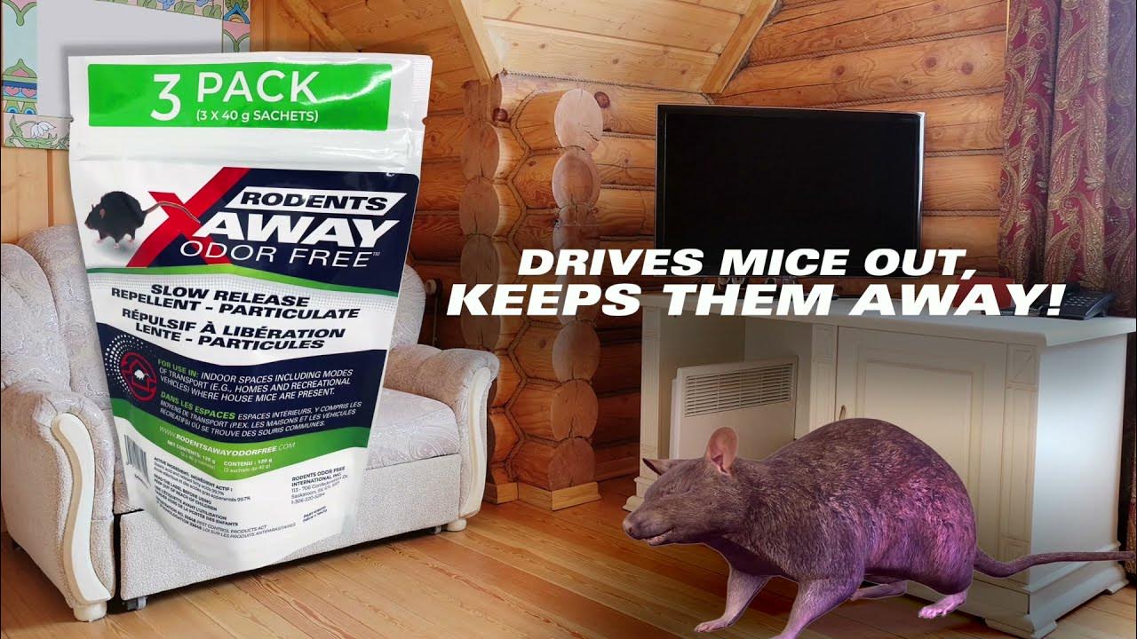 Rodents Away Odor Free Mouse Repellent YouTube