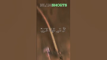 SURAH AL-'ANKABUT - سورة العنكبوت | WAY TO ISLAM CO.