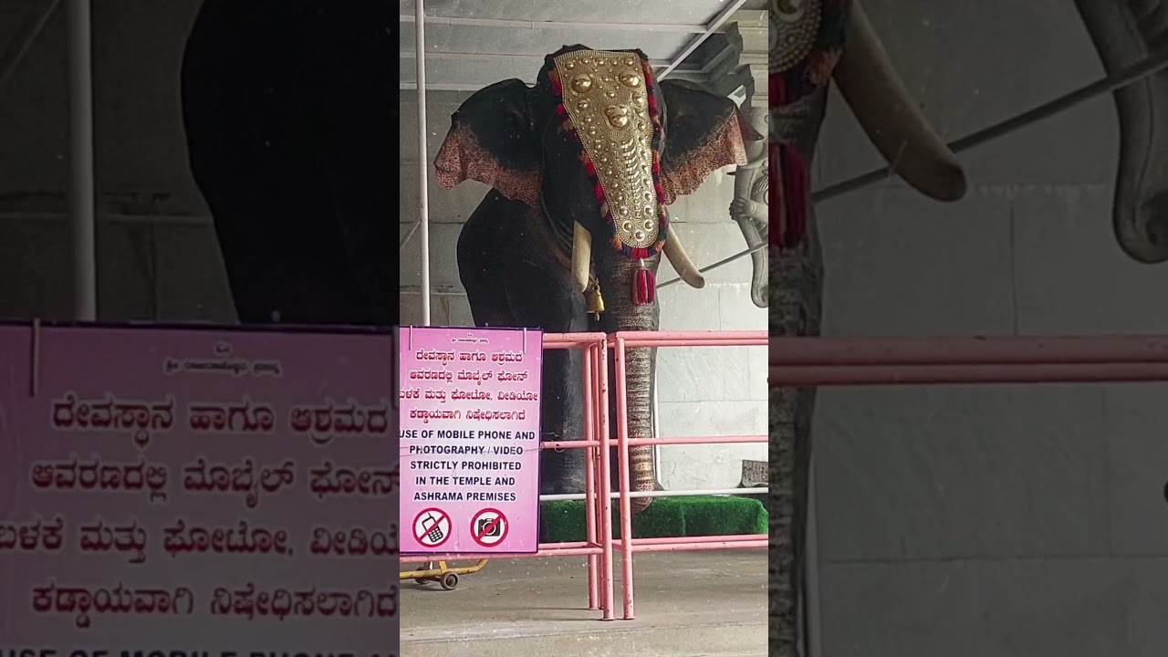 Elephant statue in temple 