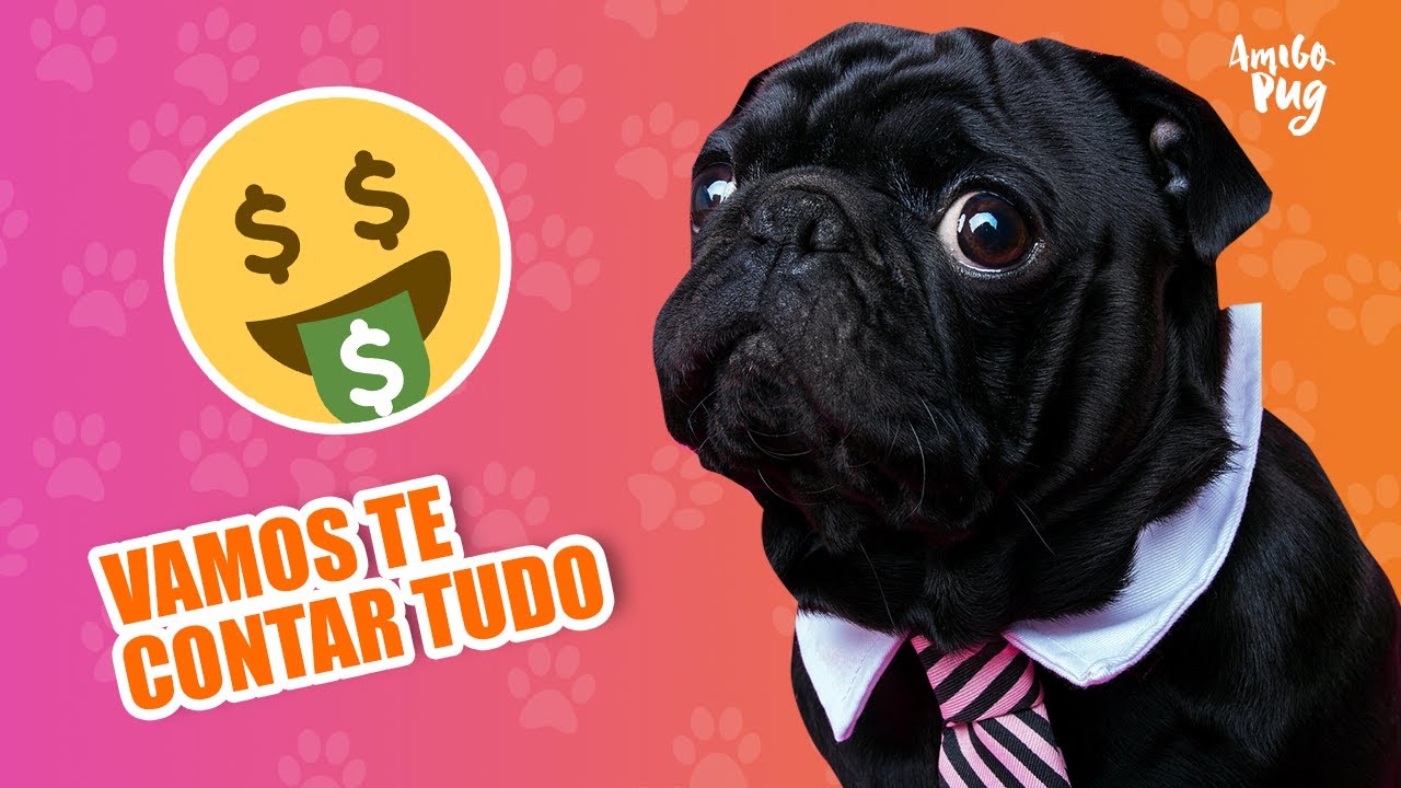 Qual O Pug Mais Caro?