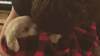 Shawn Mendes & Camila Cabello with new puppy