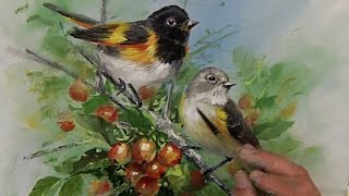How to Paint Birds with Acrylics- American Redstart Pair