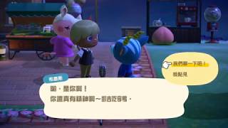 【喵哈直播紀錄】20200511集合啦!動物森友會/動物之森#50