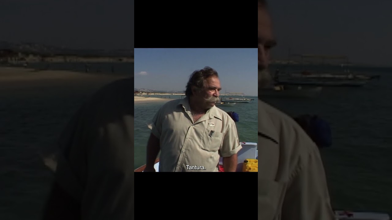 Learn more about Teddy Katz- a man hunted down for uncovering what really happened in Tantura.